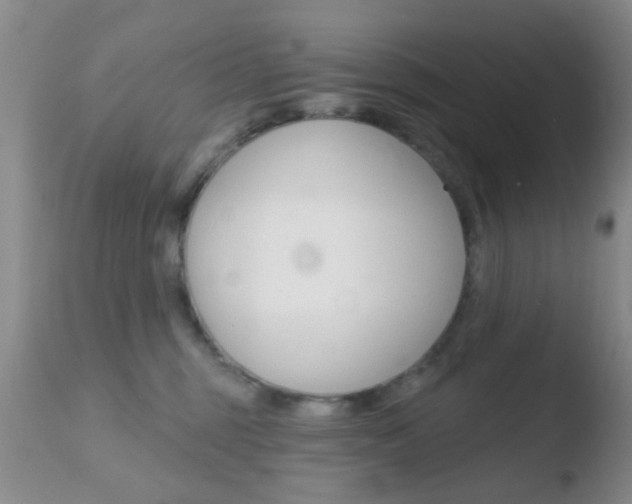 X0000110760375200906150935
