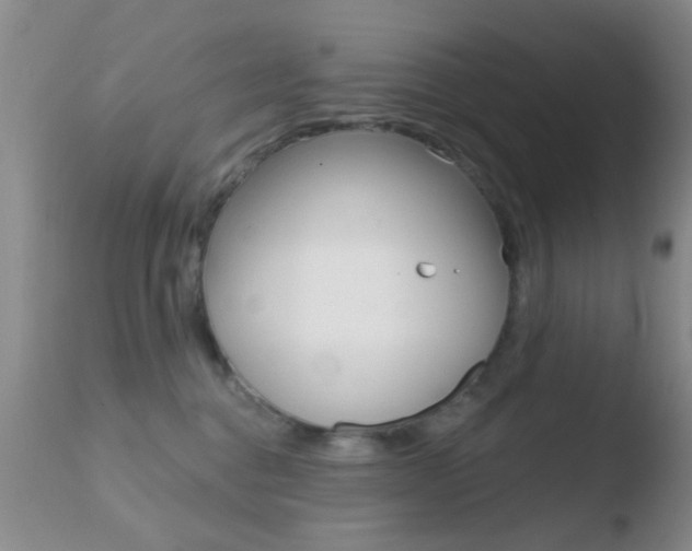 X0000110760376200906150935