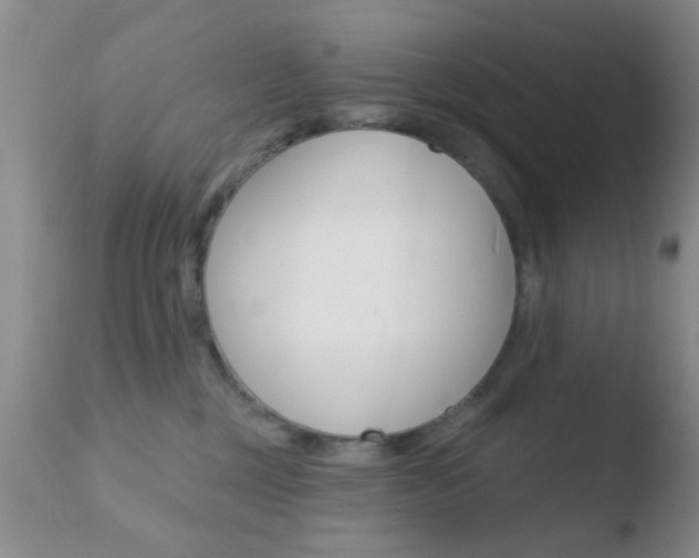 X0000110760377200906150935