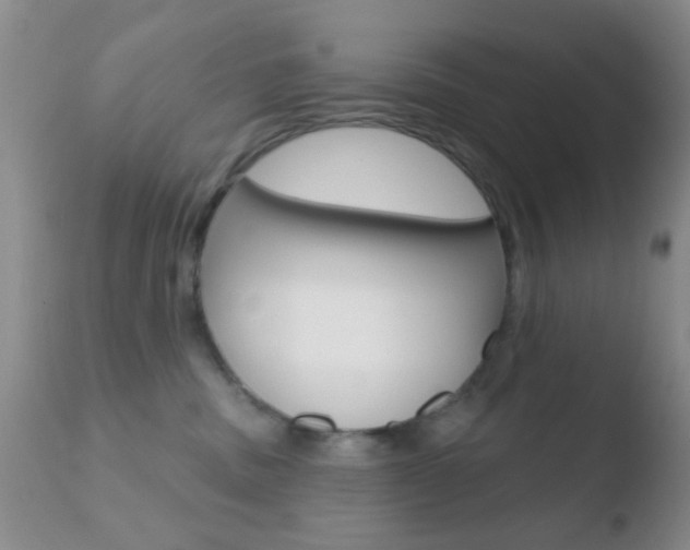 X0000110760379200906150935