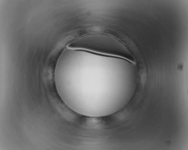 X0000110760380200906150935
