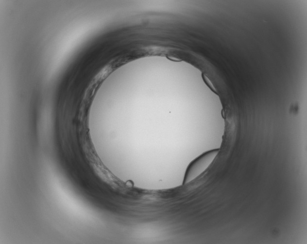 X0000110760381200906150935