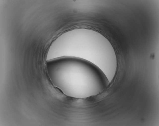 X0000110760382200906150935