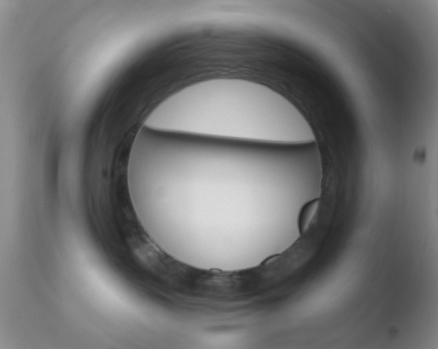 X0000110760383200906150935