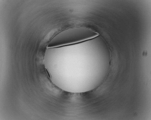 X0000110760384200906150935