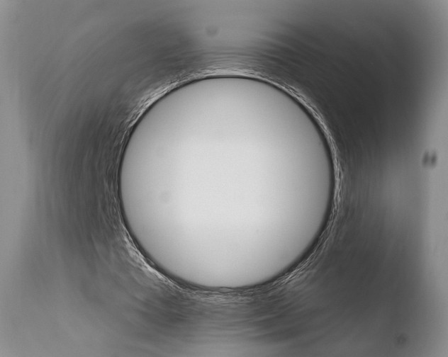X0000110760385200906150935