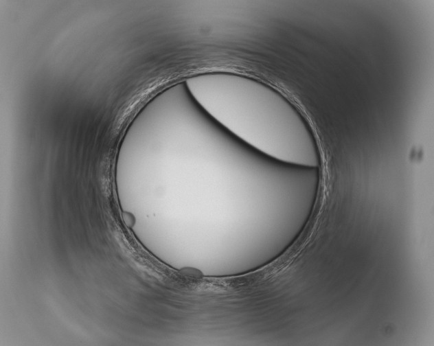 X0000110760386200906150935