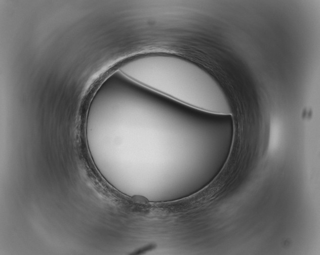 X0000110760388200906150935