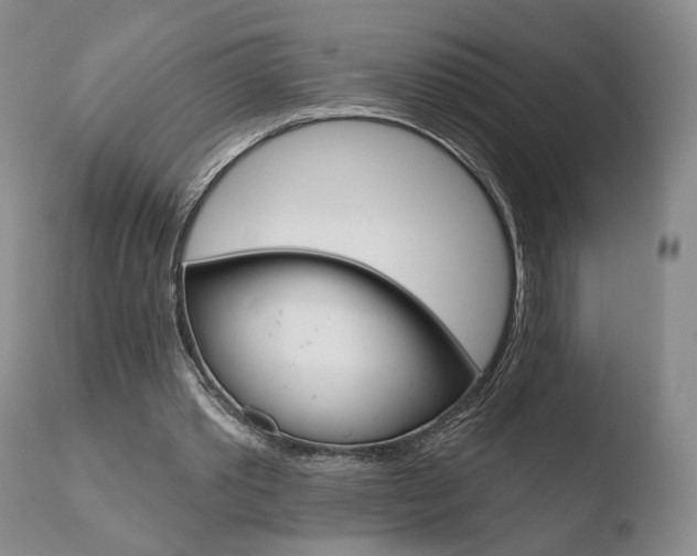 X0000110760389200906150935