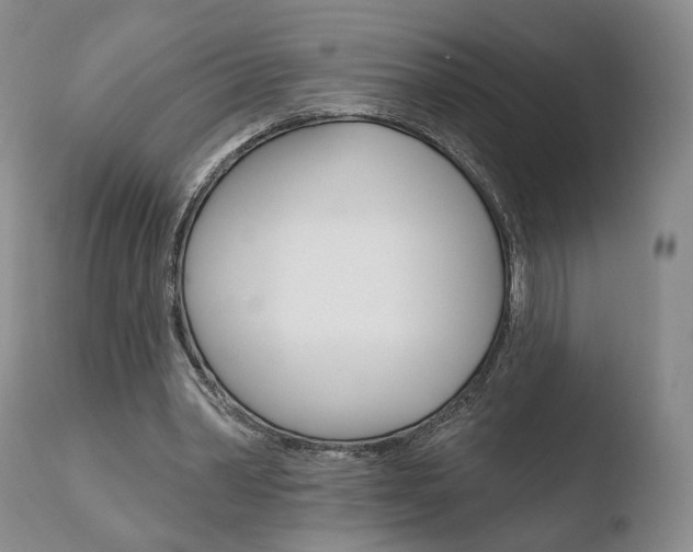 X0000110760390200906150935