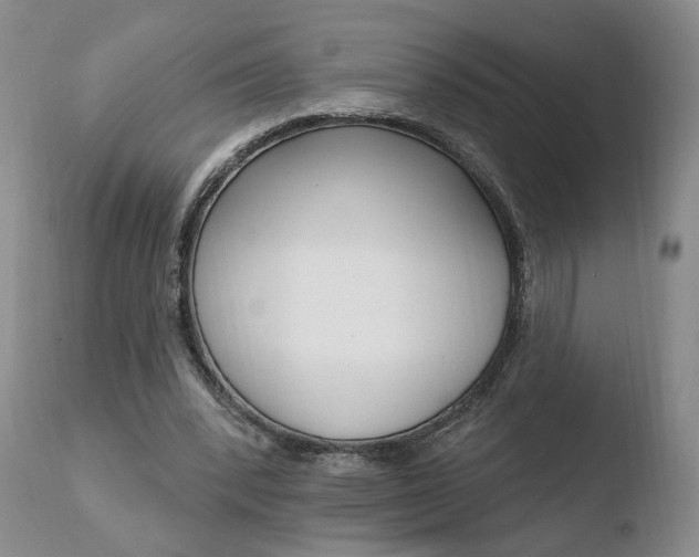 X0000110760392200906150935