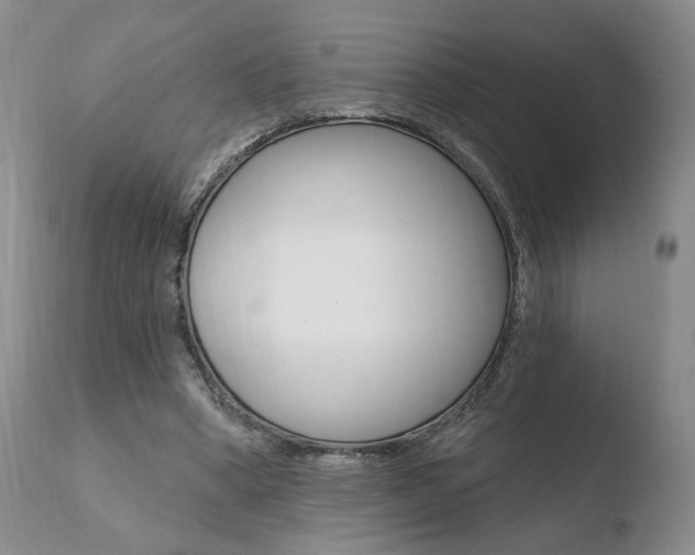 X0000110760394200906150935