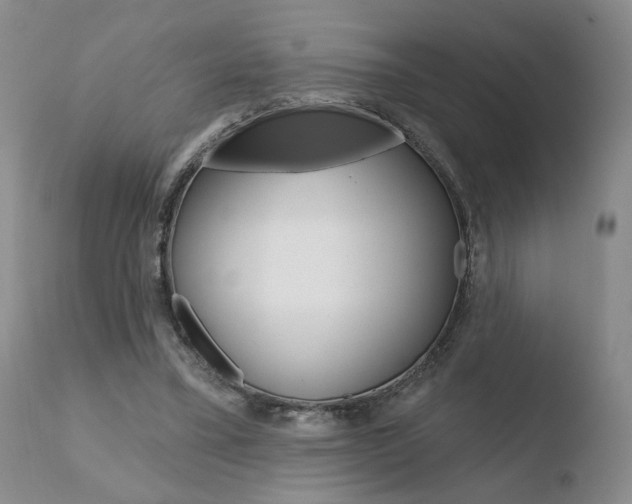 X0000110760395200906150935