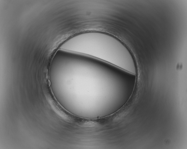 X0000110760397200906150935
