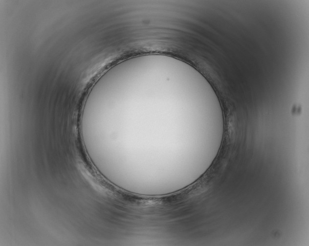 X0000110760398200906150934