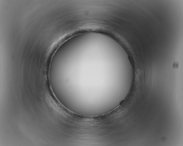 X0000110760399200906150934
