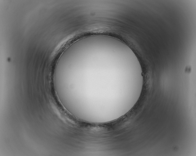 X0000110760400200906150934