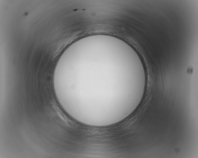 X0000110760401200906150934