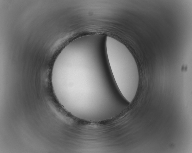 X0000110760404200906150934