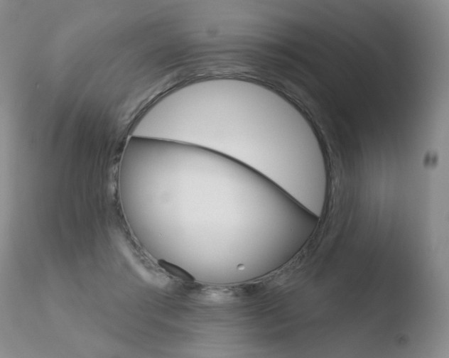 X0000110760405200906150934