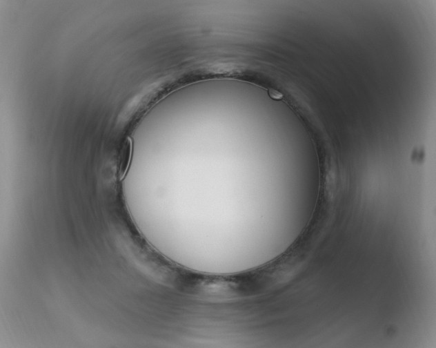 X0000110760407200906150934