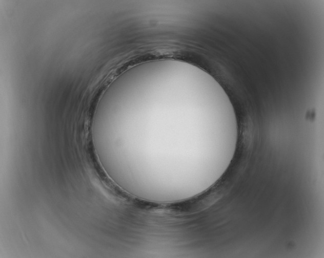 X0000110760408200906150934