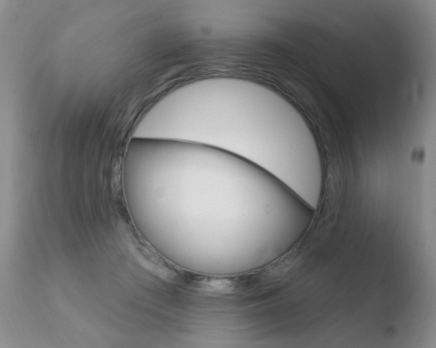 X0000110760409200906150934