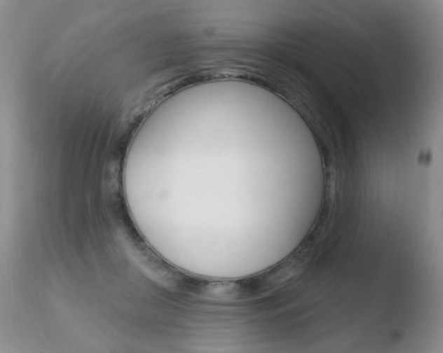 X0000110760410200906150934