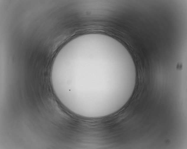 X0000110760411200906150934