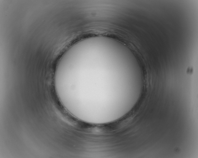 X0000110760412200906150934
