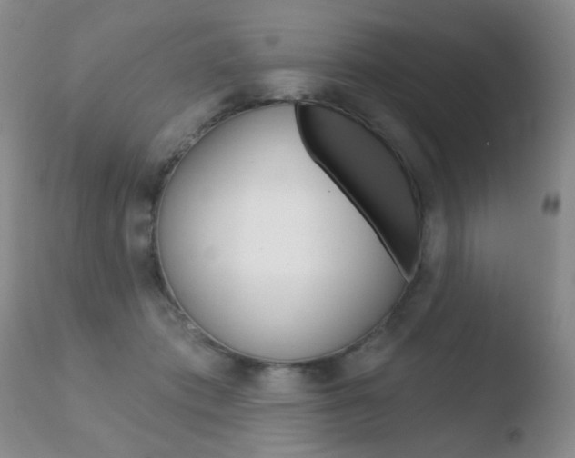 X0000110760413200906150934