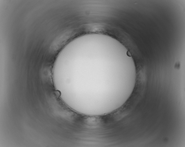 X0000110760415200906150934