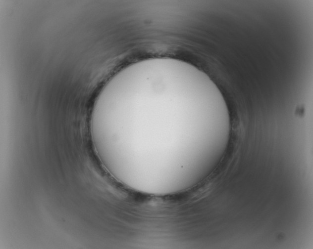 X0000110760416200906150934