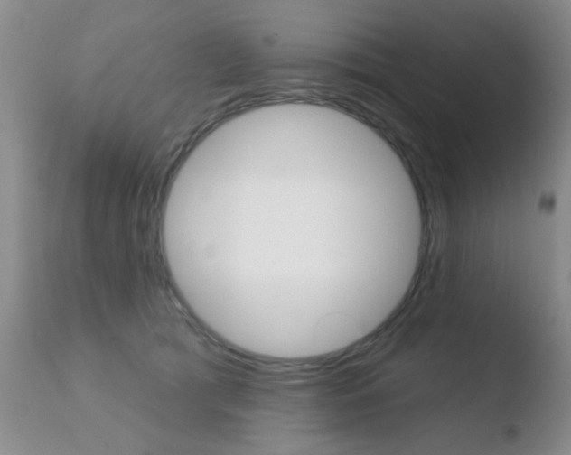 X0000110760417200906150934