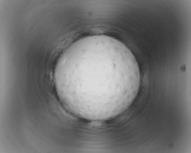 X0000110760418200906150934