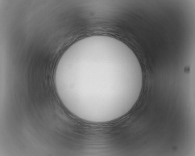 X0000110760419200906150934