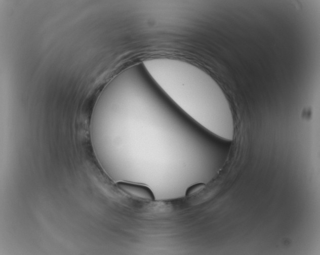 X0000110760421200906150934