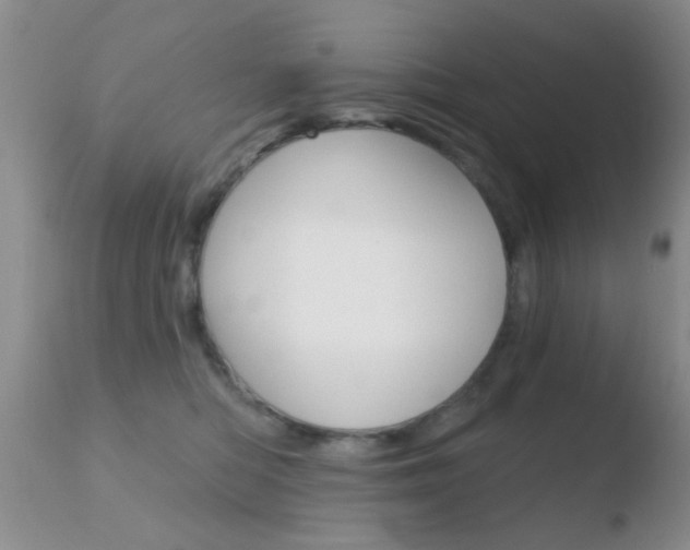 X0000110760422200906150934