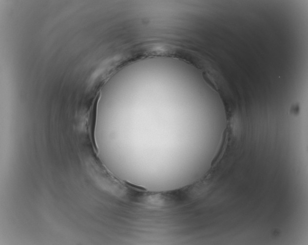 X0000110760423200906150934