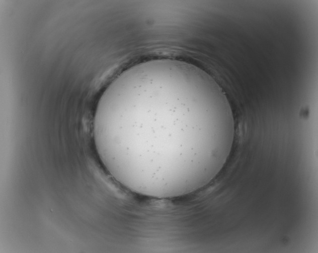 X0000110760424200906150934