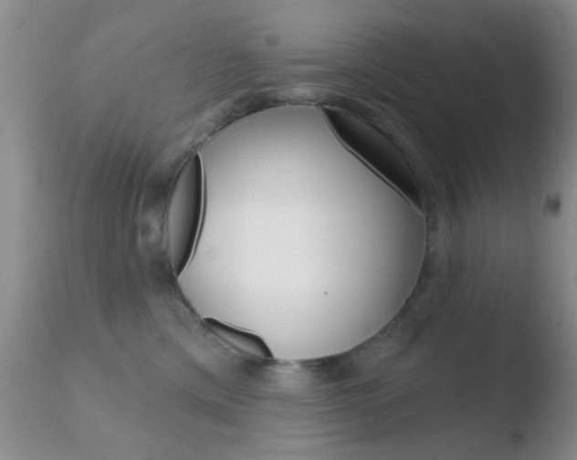 X0000110760425200906150934
