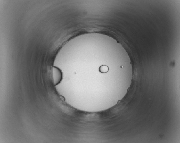 X0000110760426200906150934