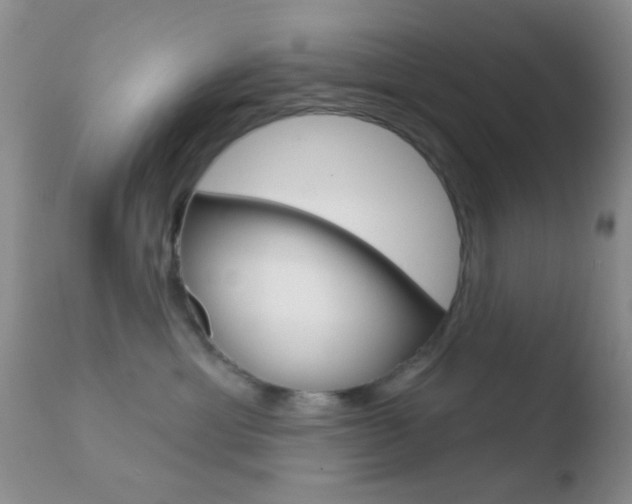 X0000110760429200906150934