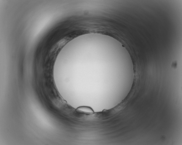 X0000110760430200906150934