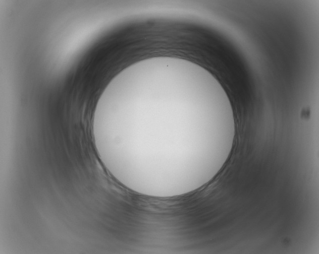 X0000110760431200906150934