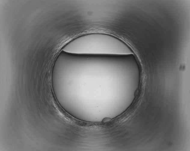 X0000110760433200906150933