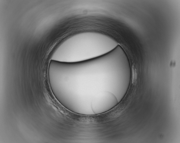 X0000110760435200906150933
