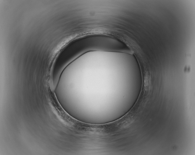 X0000110760436200906150933