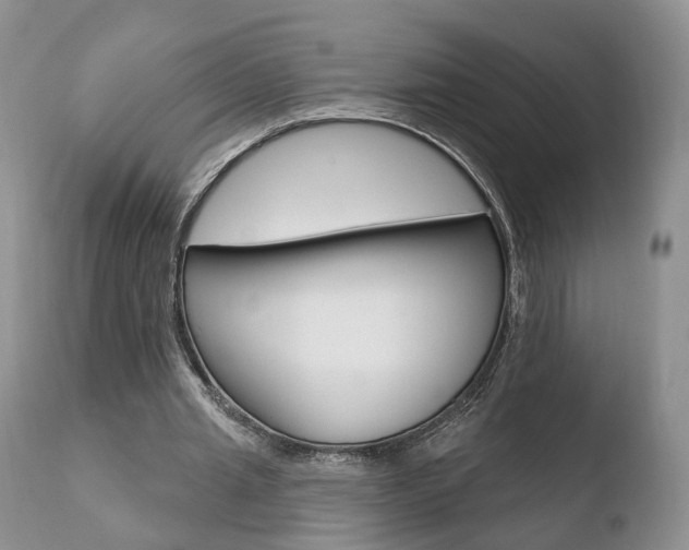 X0000110760437200906150933