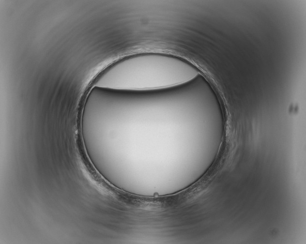 X0000110760438200906150933